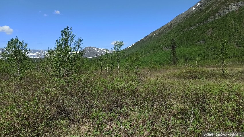 Заполярье. 11 июня 2021. Часть 1 (фото 10)