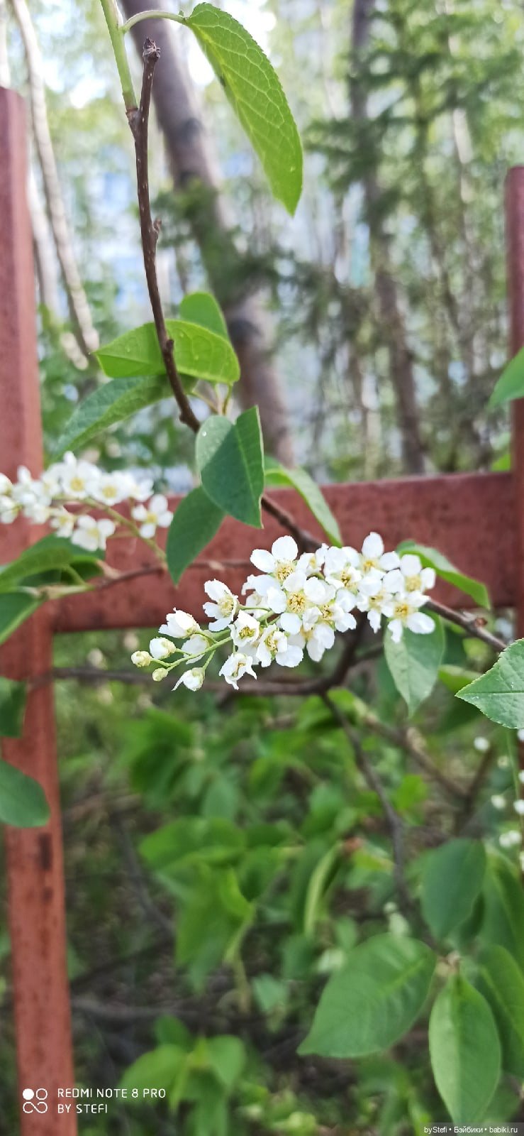 Заполярье. 11 июня 2021. Часть 3