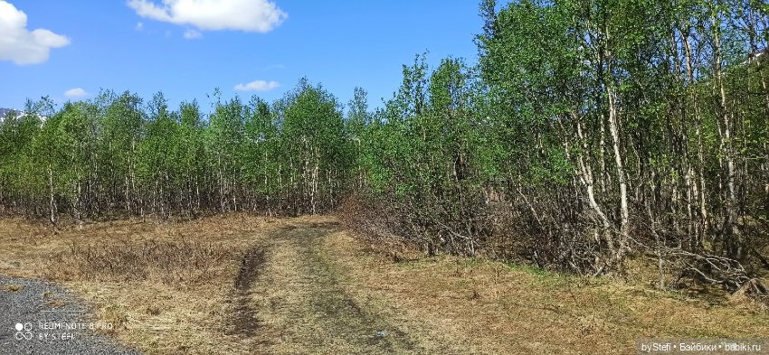 Заполярье. 11 июня 2021. Часть 2