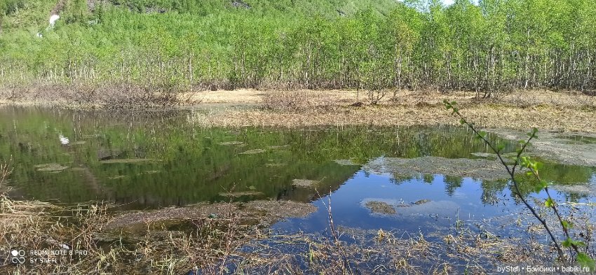 Заполярье. 11 июня 2021. Часть 2 (фото 7)