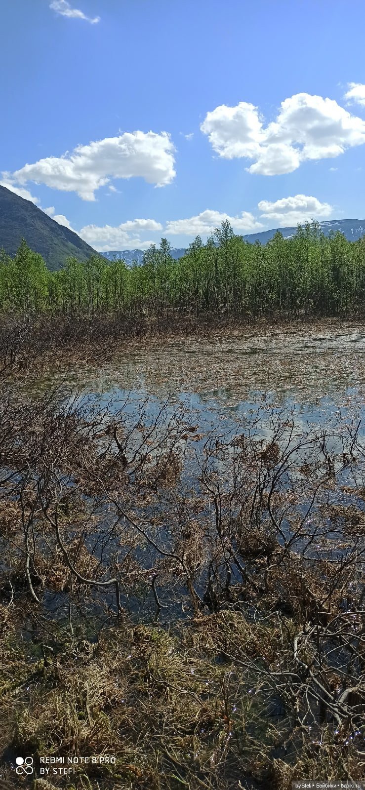 Заполярье. 11 июня 2021. Часть 3