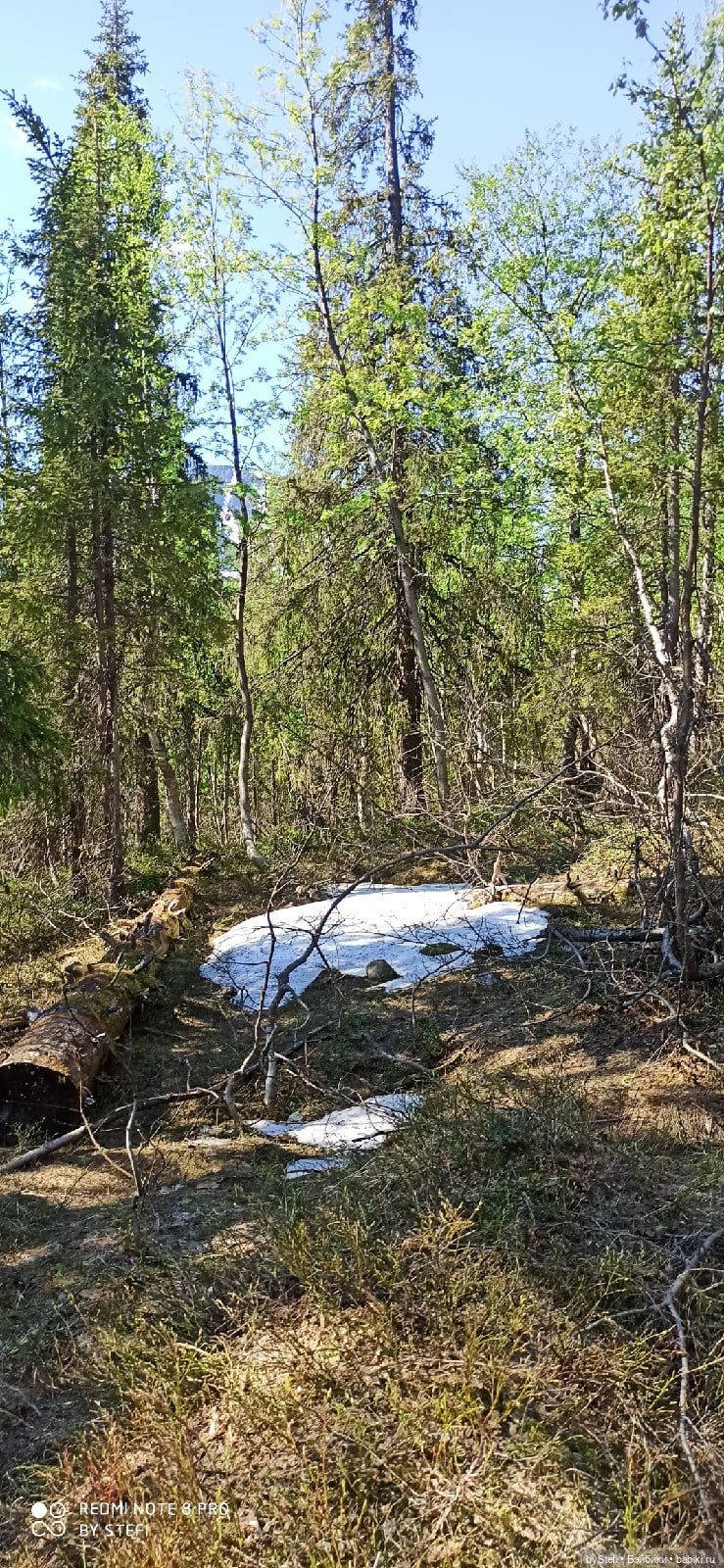 Заполярье. 11 июня 2021. Заключительная часть