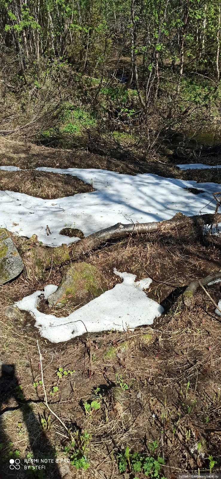 Заполярье. 11 июня 2021. Часть 3 (фото 3)