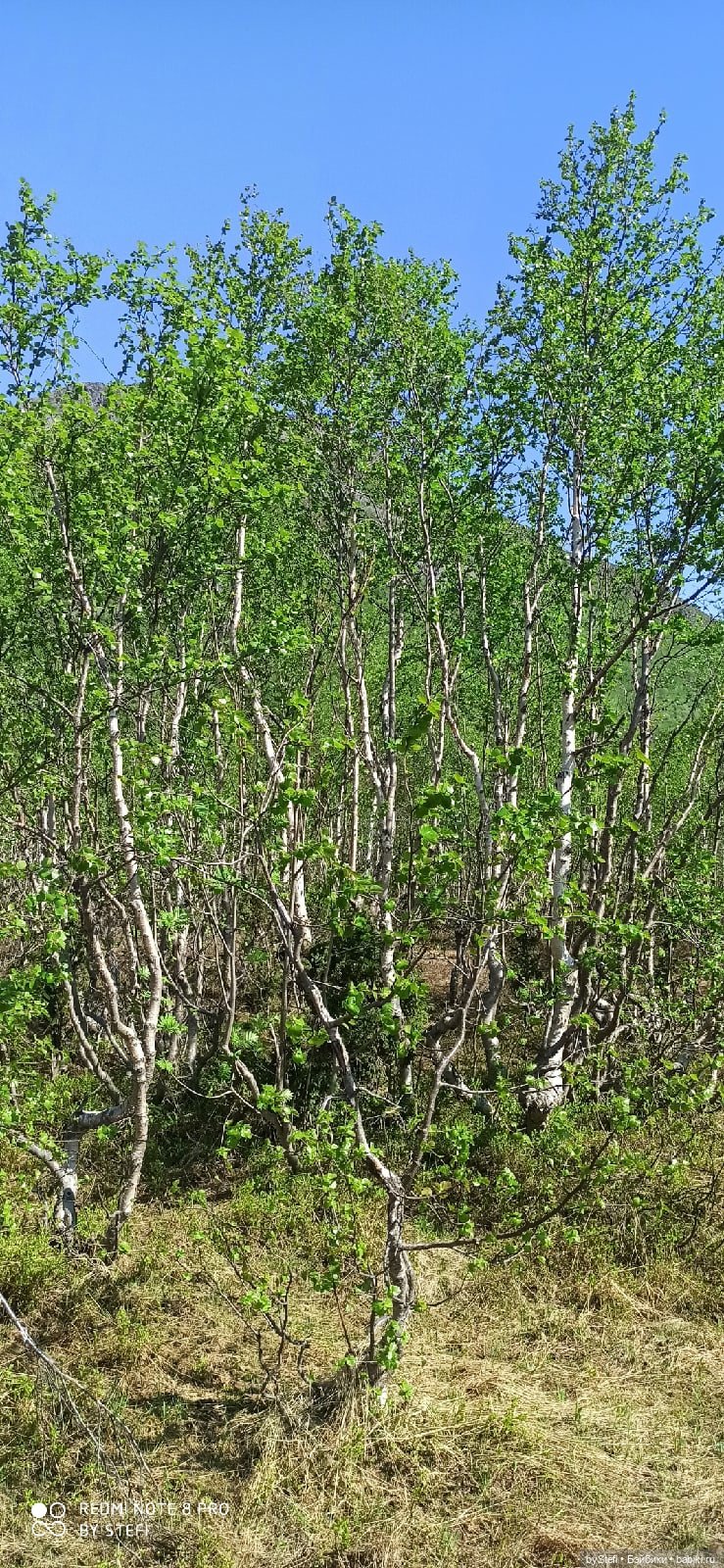 Заполярье. 11 июня 2021. Часть 1