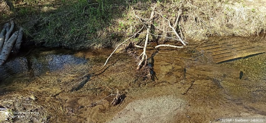 Заполярье. 11 июня 2021. Часть 2