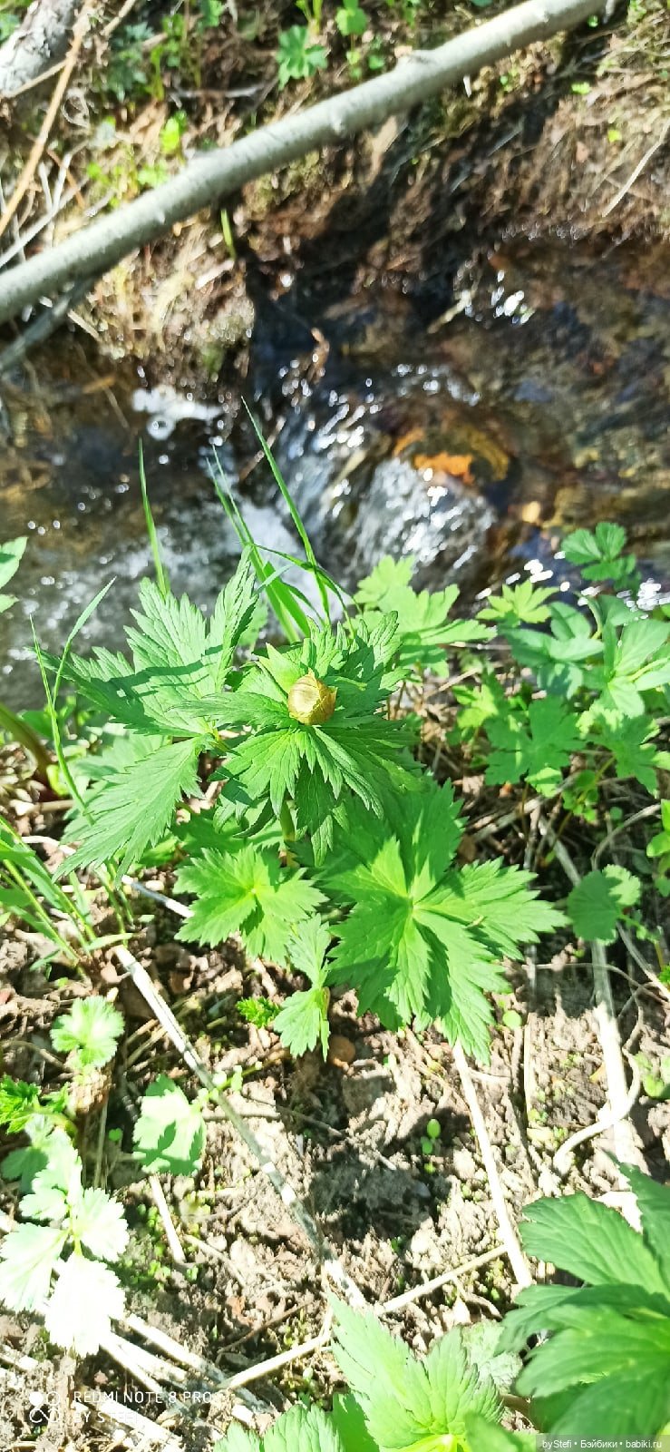 Заполярье. 11 июня 2021. Часть 2