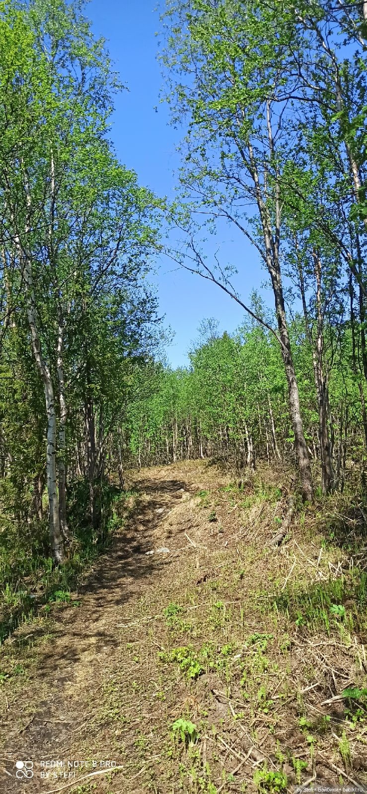 Заполярье. 11 июня 2021. Часть 3