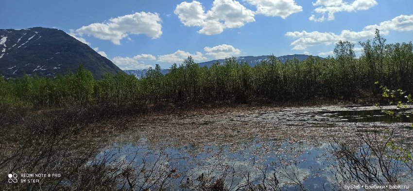 Заполярье. 11 июня 2021. Часть 3