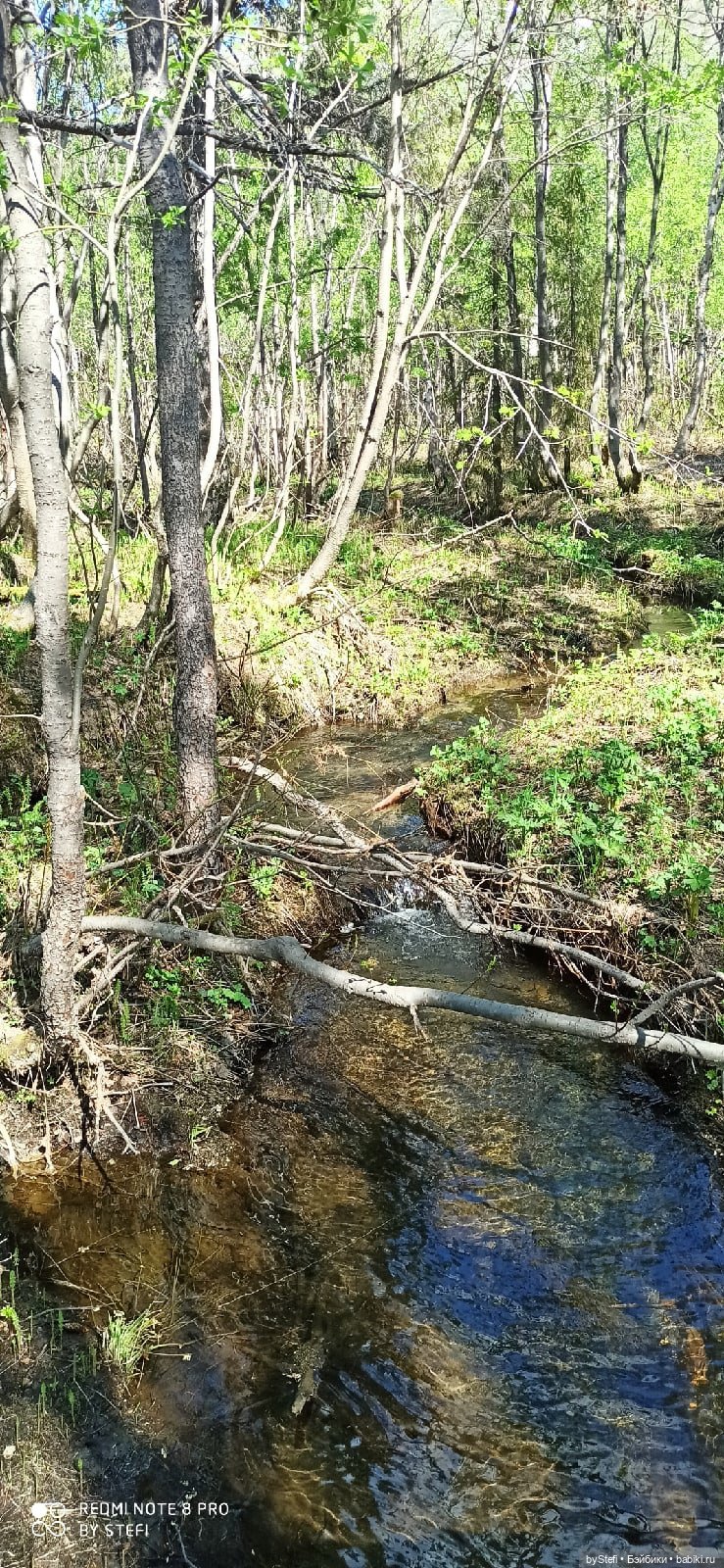 Заполярье. 11 июня 2021. Часть 2