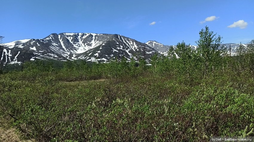 Заполярье. 11 июня 2021. Часть 1 (фото 9)