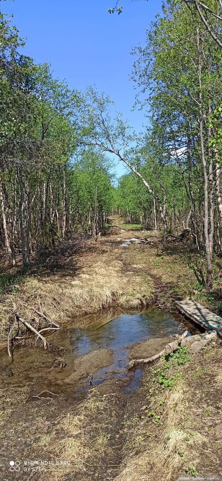 Заполярье. 11 июня 2021. Часть 2