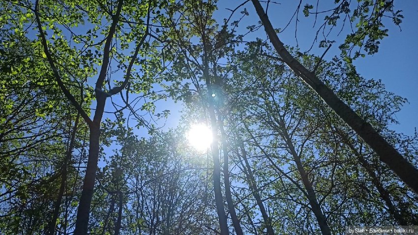 Заполярье. 11 июня 2021. Часть 2