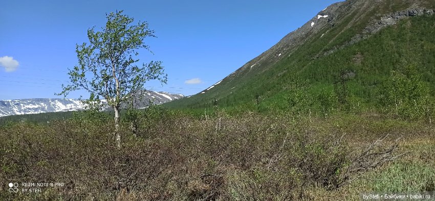 Заполярье. 11 июня 2021. Часть 1