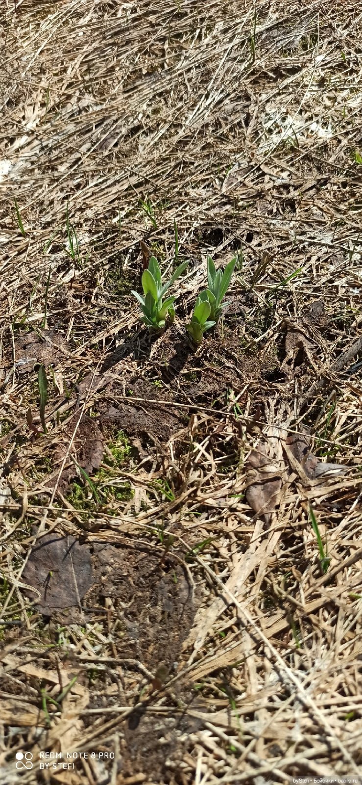 Заполярье. 11 июня 2021. Часть 3