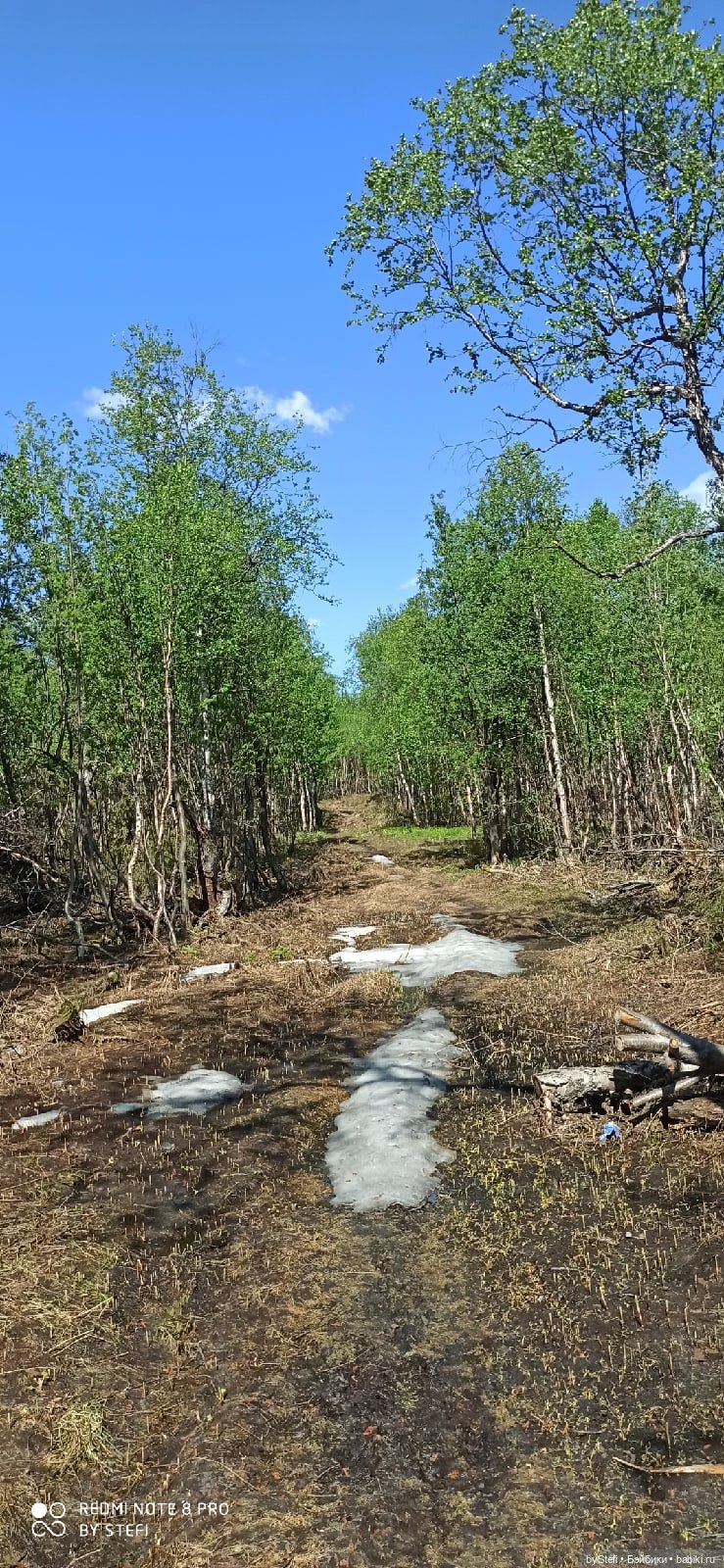 Заполярье. 11 июня 2021. Часть 2