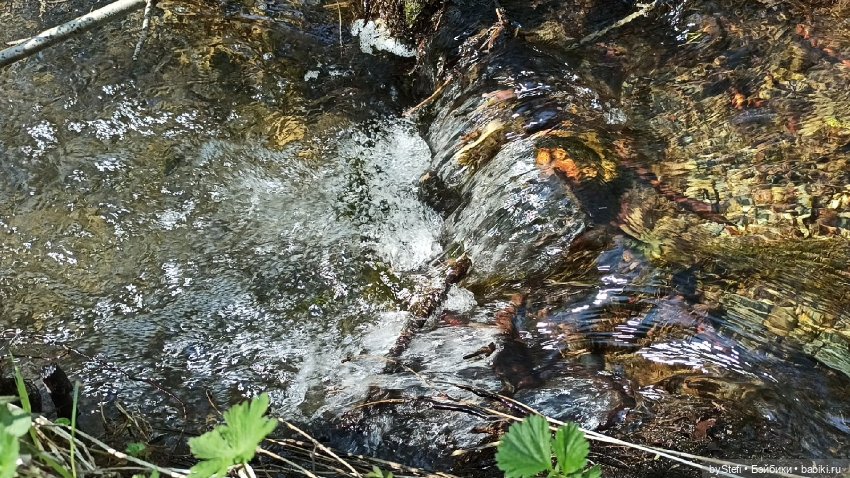 Заполярье. 11 июня 2021. Часть 2