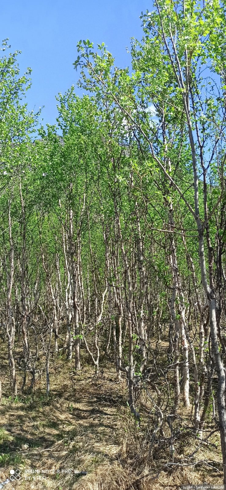 Заполярье. 11 июня 2021. Часть 2