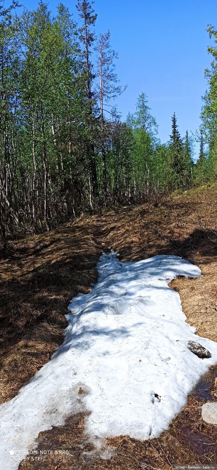 Заполярье. 11 июня 2021. Заключительная часть (фото 9)