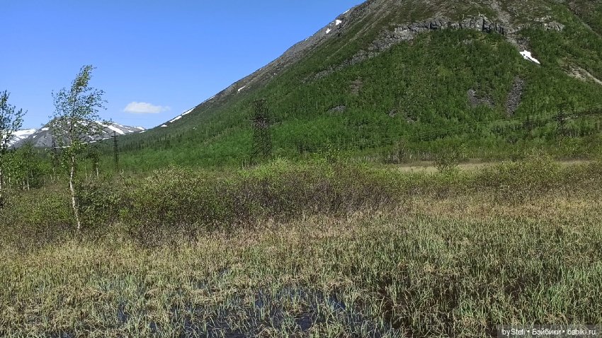 Заполярье. 11 июня 2021. Часть 1 (фото 6)