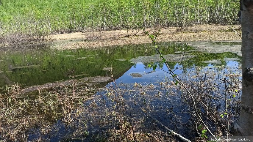 Заполярье. 11 июня 2021. Часть 1