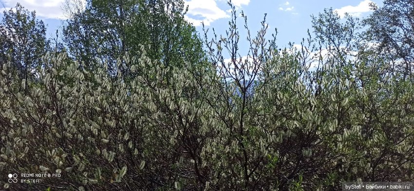 Заполярье. 11 июня 2021. Часть 3