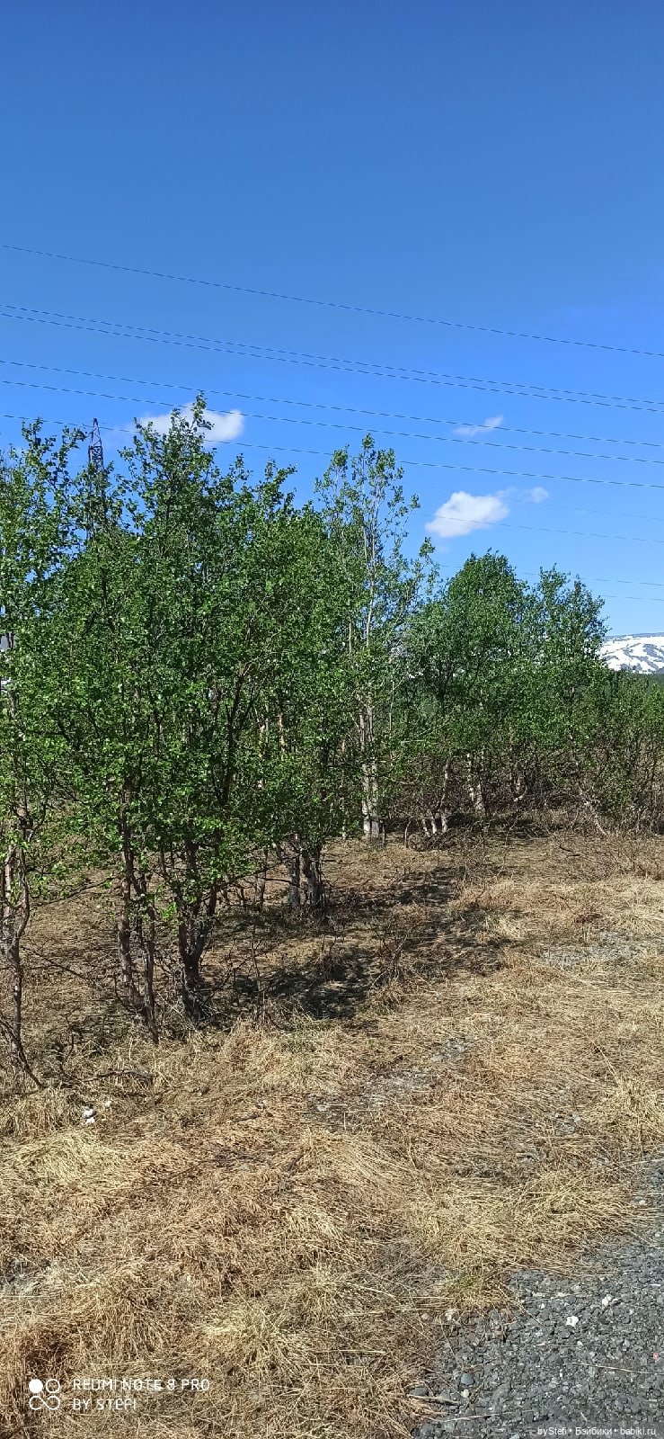 Заполярье. 11 июня 2021. Часть 1