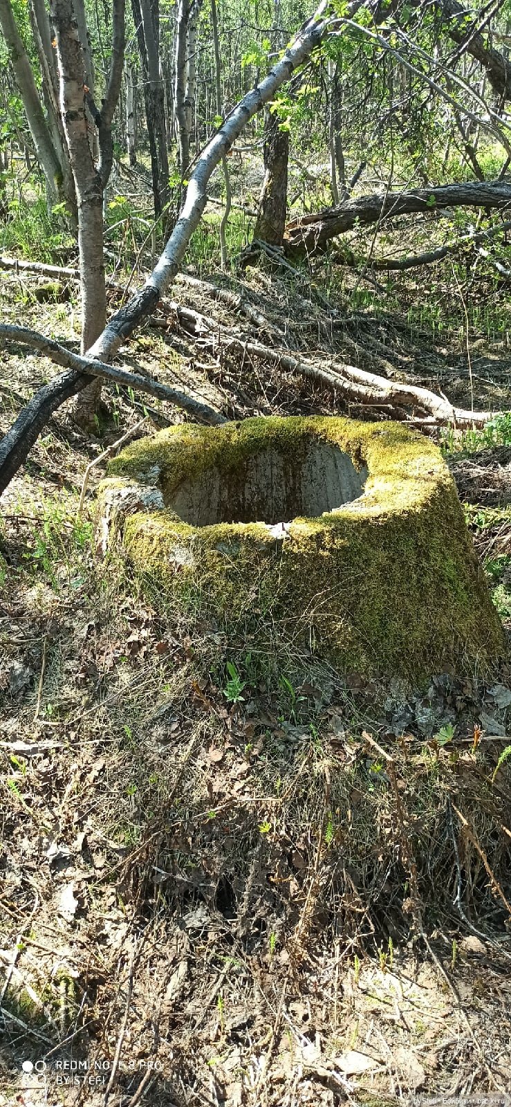 Заполярье. 11 июня 2021. Часть 3