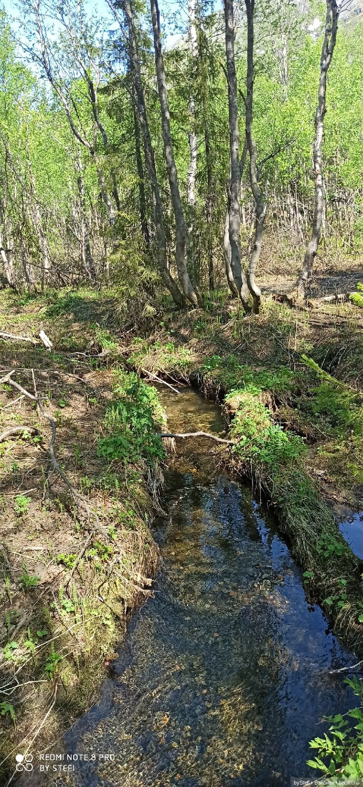 Заполярье. 11 июня 2021. Часть 3 (фото 6)
