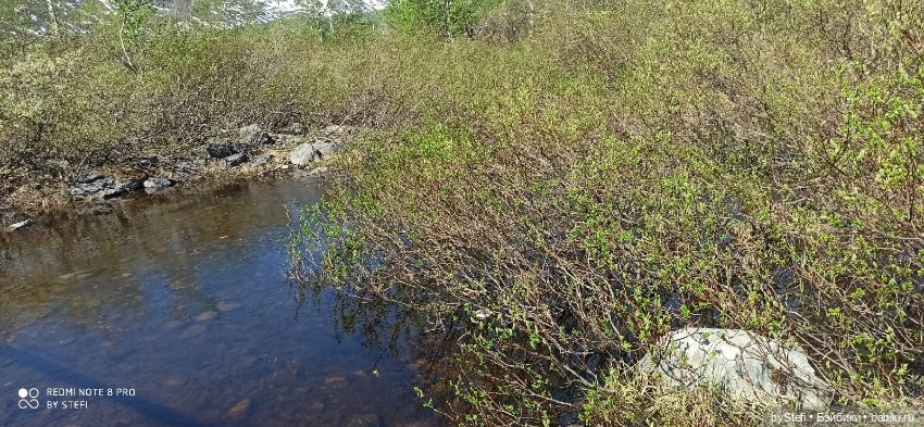 Заполярье. 11 июня 2021. Часть 1