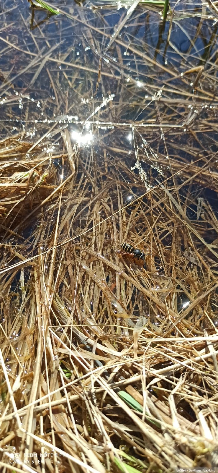 Заполярье. 11 июня 2021. Часть 3