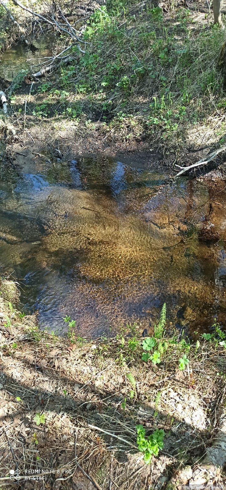 Заполярье. 11 июня 2021. Часть 2