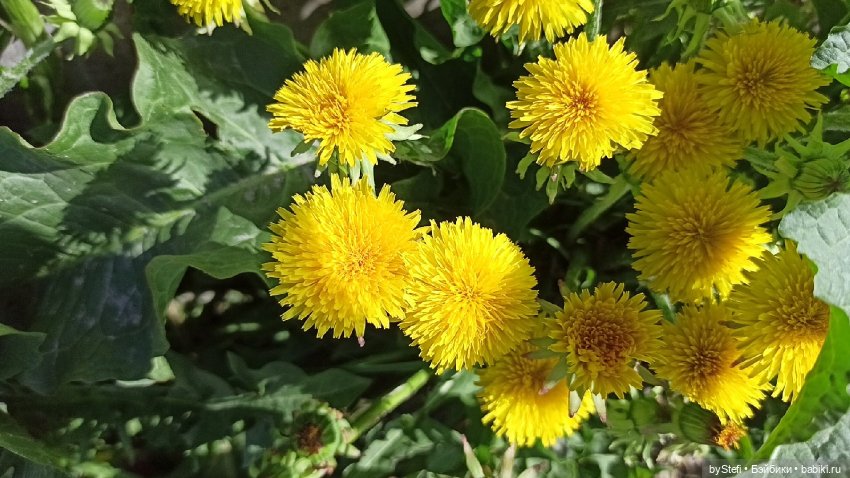 Заполярье. 11 июня 2021. Часть 3