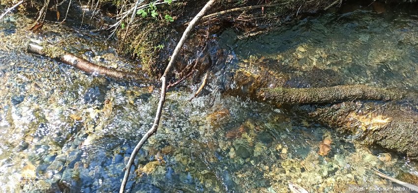 Заполярье. 11 июня 2021. Часть 3 (фото 8)