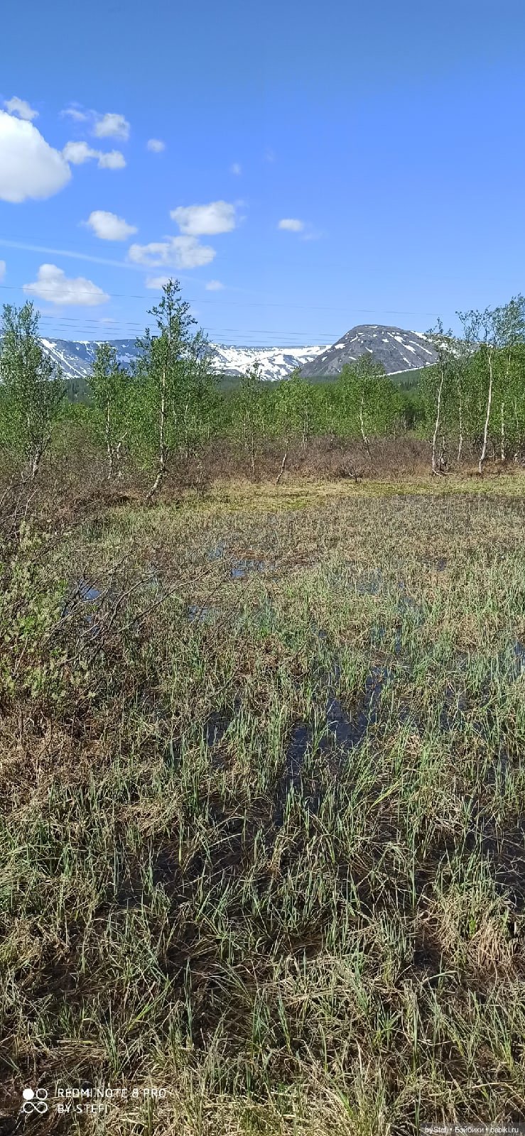 Заполярье. 11 июня 2021. Часть 3