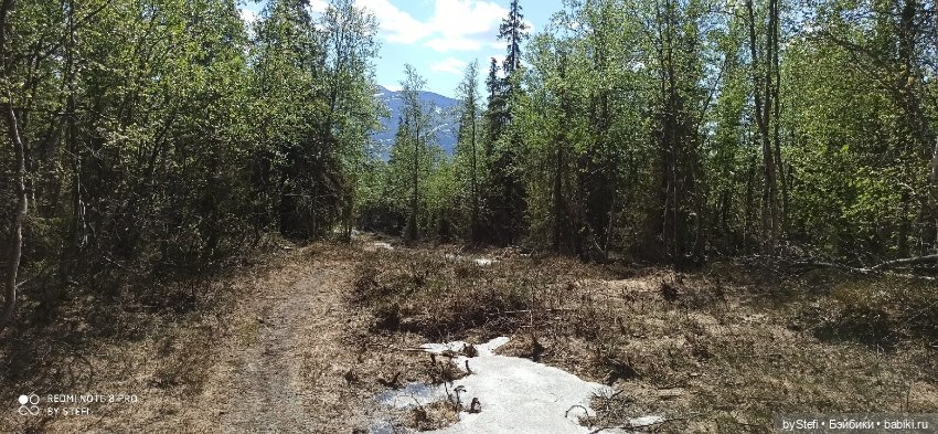 Заполярье. 11 июня 2021. Часть 4