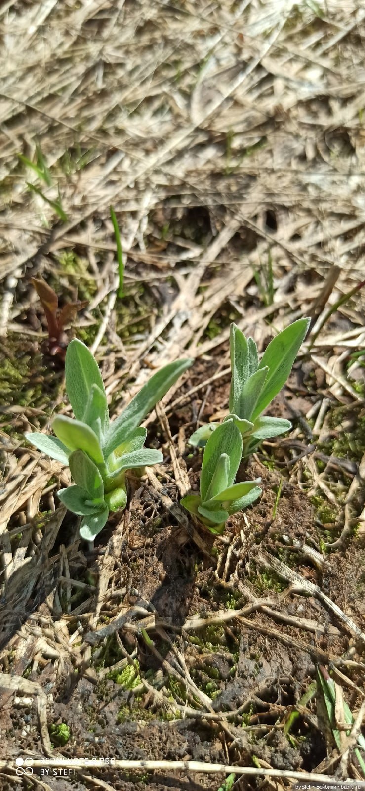 Заполярье. 11 июня 2021. Часть 3