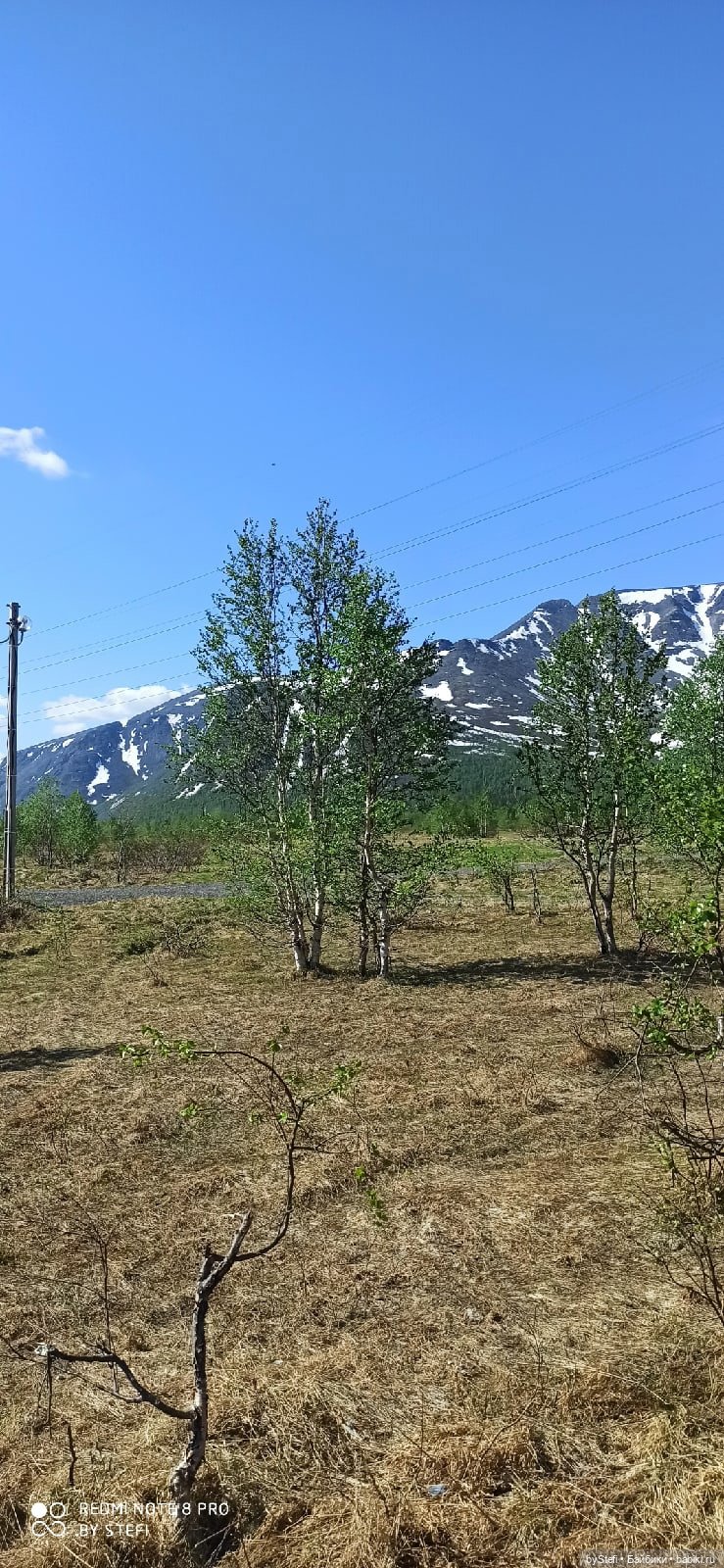 Заполярье. 11 июня 2021. Часть 1