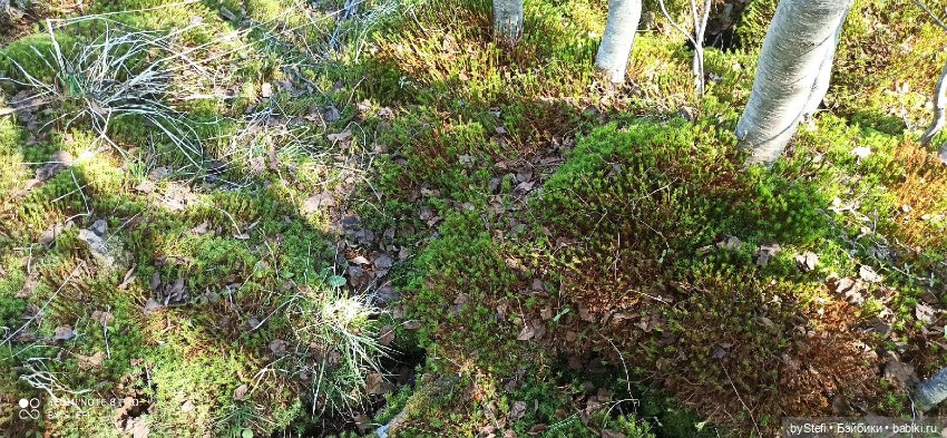 Заполярье. 11 июня 2021. Часть 2