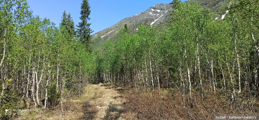 Заполярье. 11 июня 2021. Часть 2