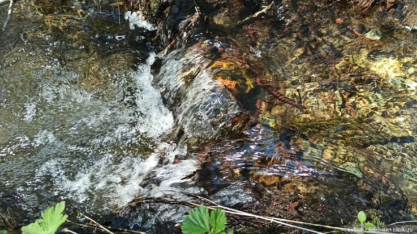 Заполярье. 11 июня 2021. Часть 2