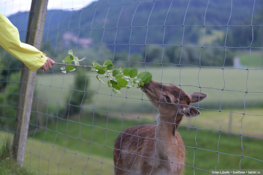 После дождя — Куклы Annette Himstedt (Аннетт Химстедт): коллекционные