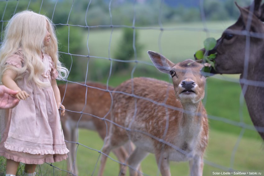 После дождя — Куклы Annette Himstedt (Аннетт Химстедт): коллекционные