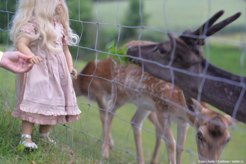 После дождя — Куклы Annette Himstedt (Аннетт Химстедт): коллекционные