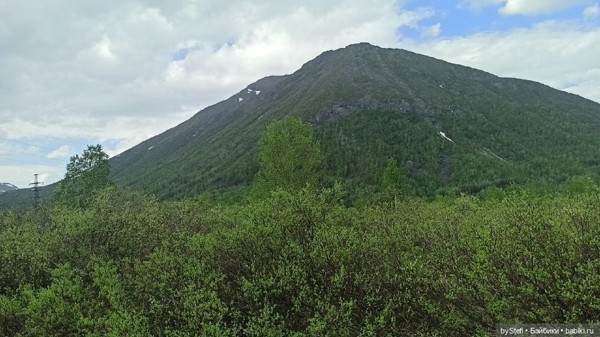 По дороге с облаками... 12 июня 2021. Заполярье. Приглашаю прогуляться. Часть 1 (фото 7)