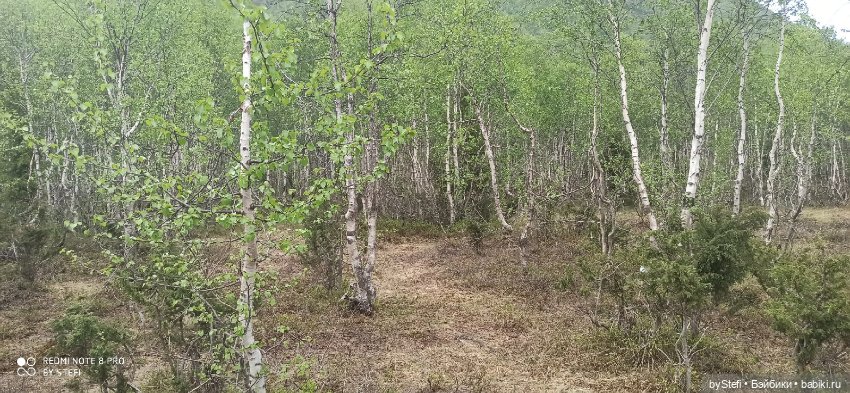 По дороге с облаками... 12 июня 2021. Заполярье. Приглашаю прогуляться. Часть 1