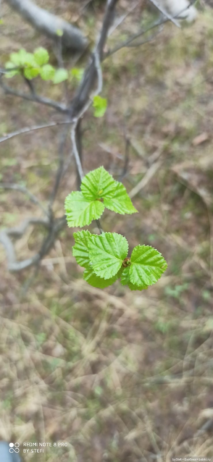 По дороге с облаками... 12 июня 2021. Заполярье. Приглашаю прогуляться. Часть 1