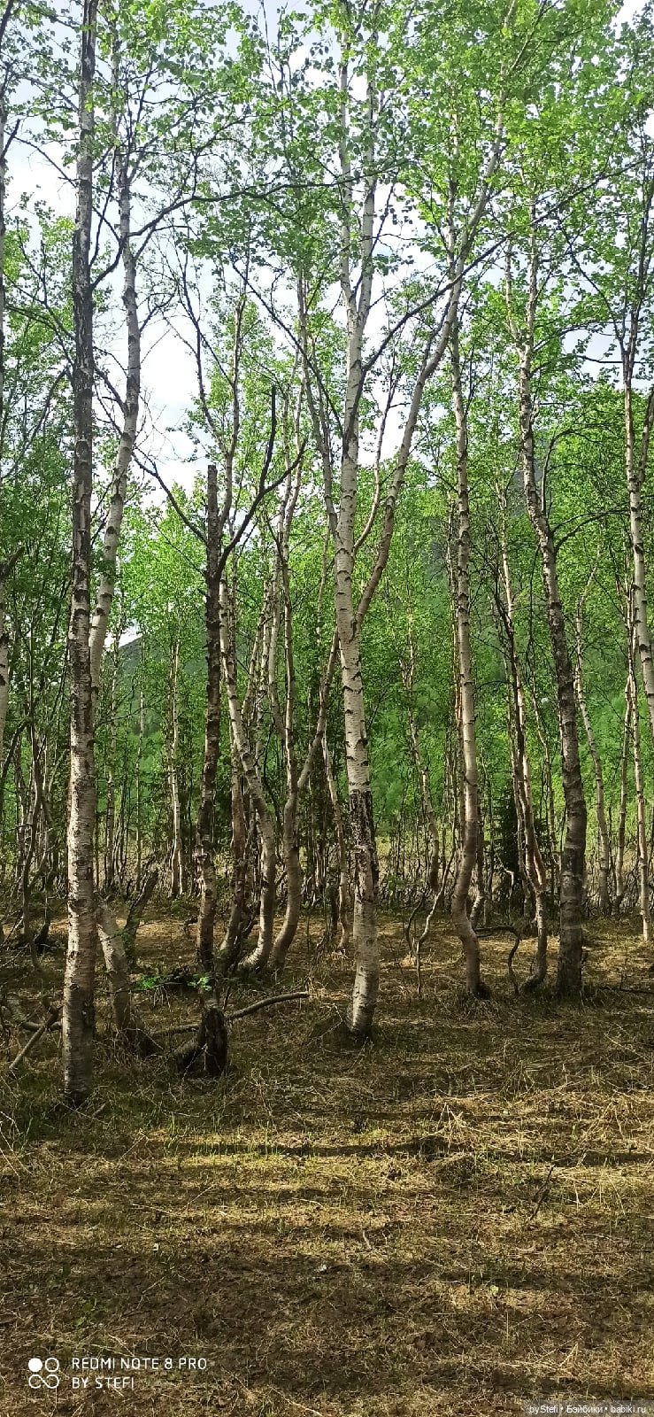 По дороге с облаками... 12 июня 2021. Заполярье. Приглашаю прогуляться. Часть 1