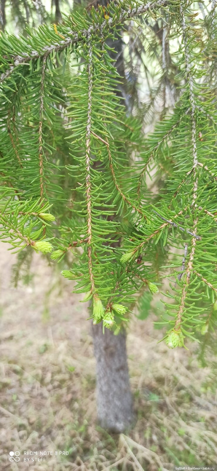 По дороге с облаками... 12 июня 2021. Заполярье. Приглашаю прогуляться. Часть 1