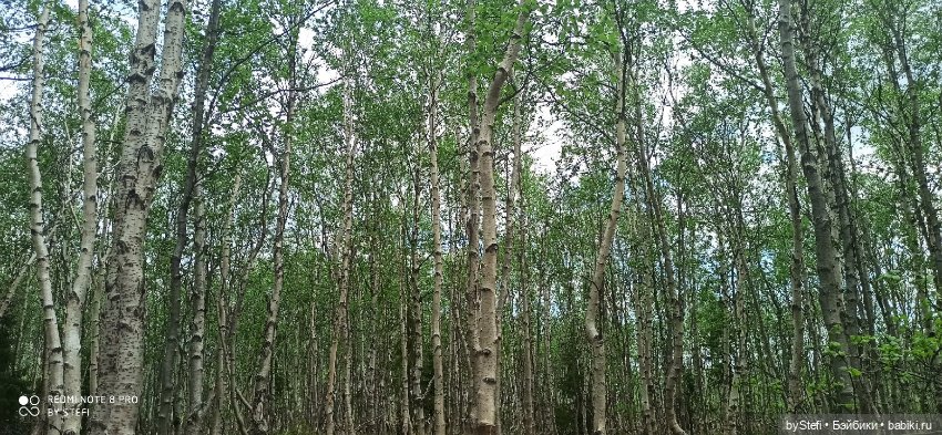 По дороге с облаками... 12 июня 2021. Заполярье. Приглашаю прогуляться. Часть 1