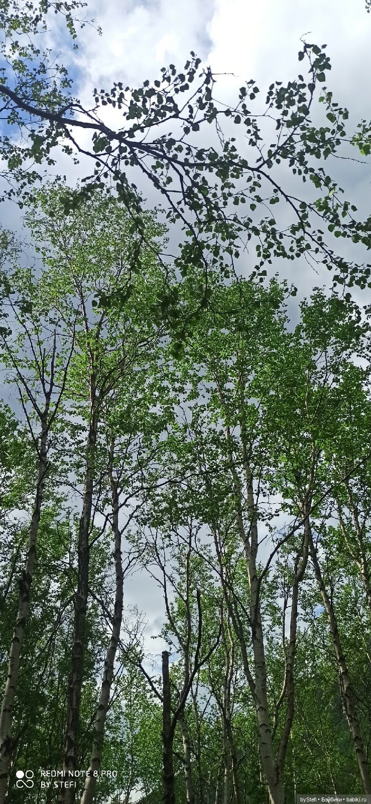 По дороге с облаками... 12 июня 2021. Заполярье. Приглашаю прогуляться. Часть 1